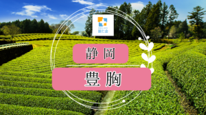 静岡　豊胸　安い